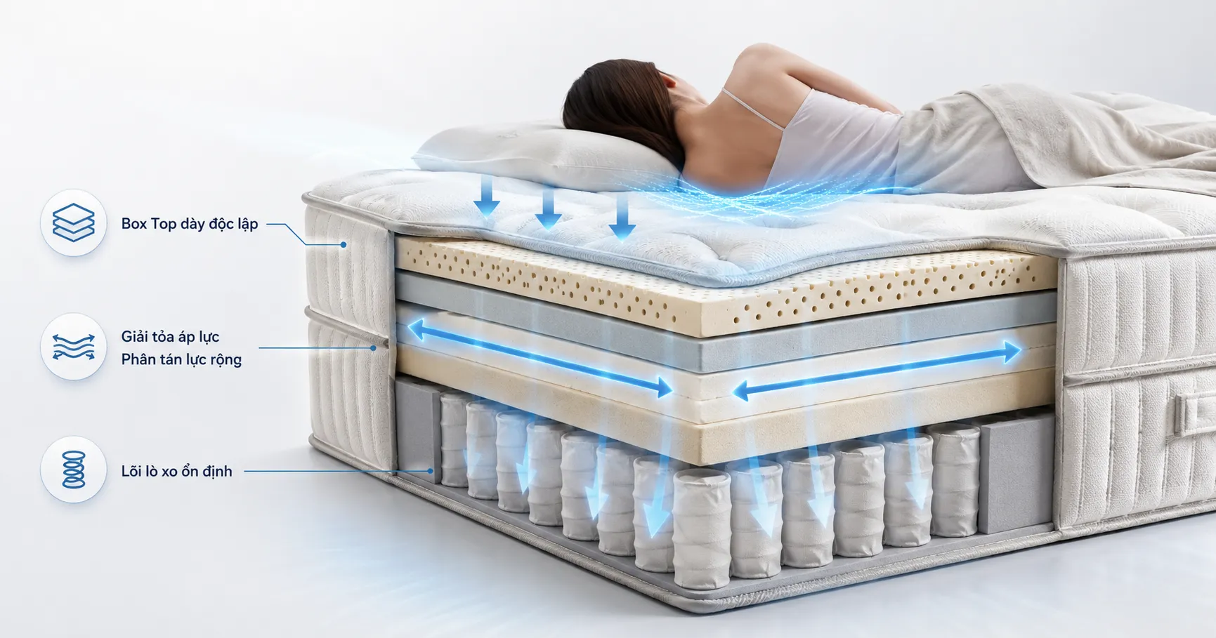 Thiết kế Box Top