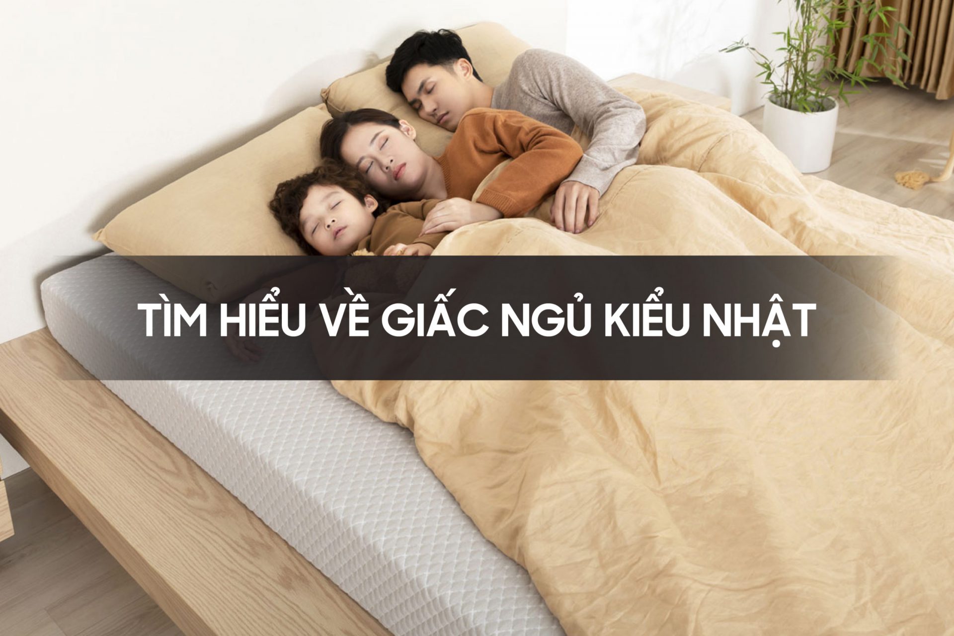 Tìm hiểu về giấc ngủ kiểu Nhật